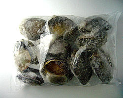 石鯛釣り用　トコブシ１