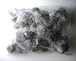 石鯛釣用　ウニ