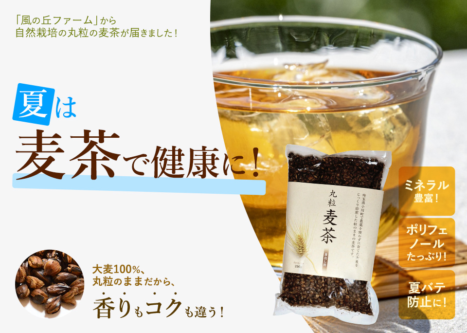 夏は麦茶で健康に！ 大麦100％、丸粒のままだから、香りもコクも違う！　