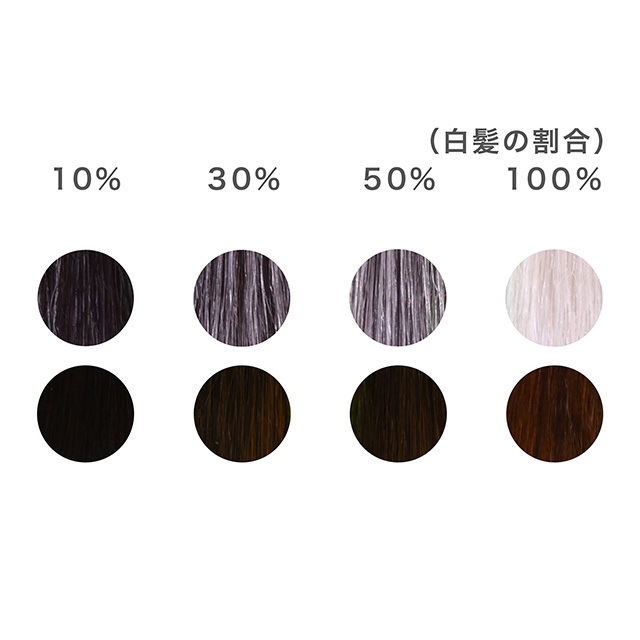 オーガニック生活便 ヘナ 木藍 黒茶系 100ｇ 400g 100g 4 ナイアード