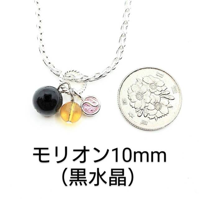 SP モリオン×アンバー チャーム