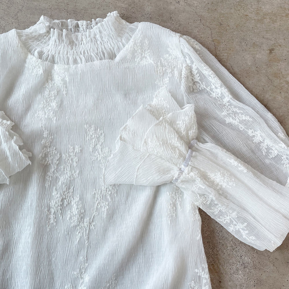 【3月上旬入荷予定】春の早割り 【メール便対応】　フラワー刺繍シアーフリルブラウス