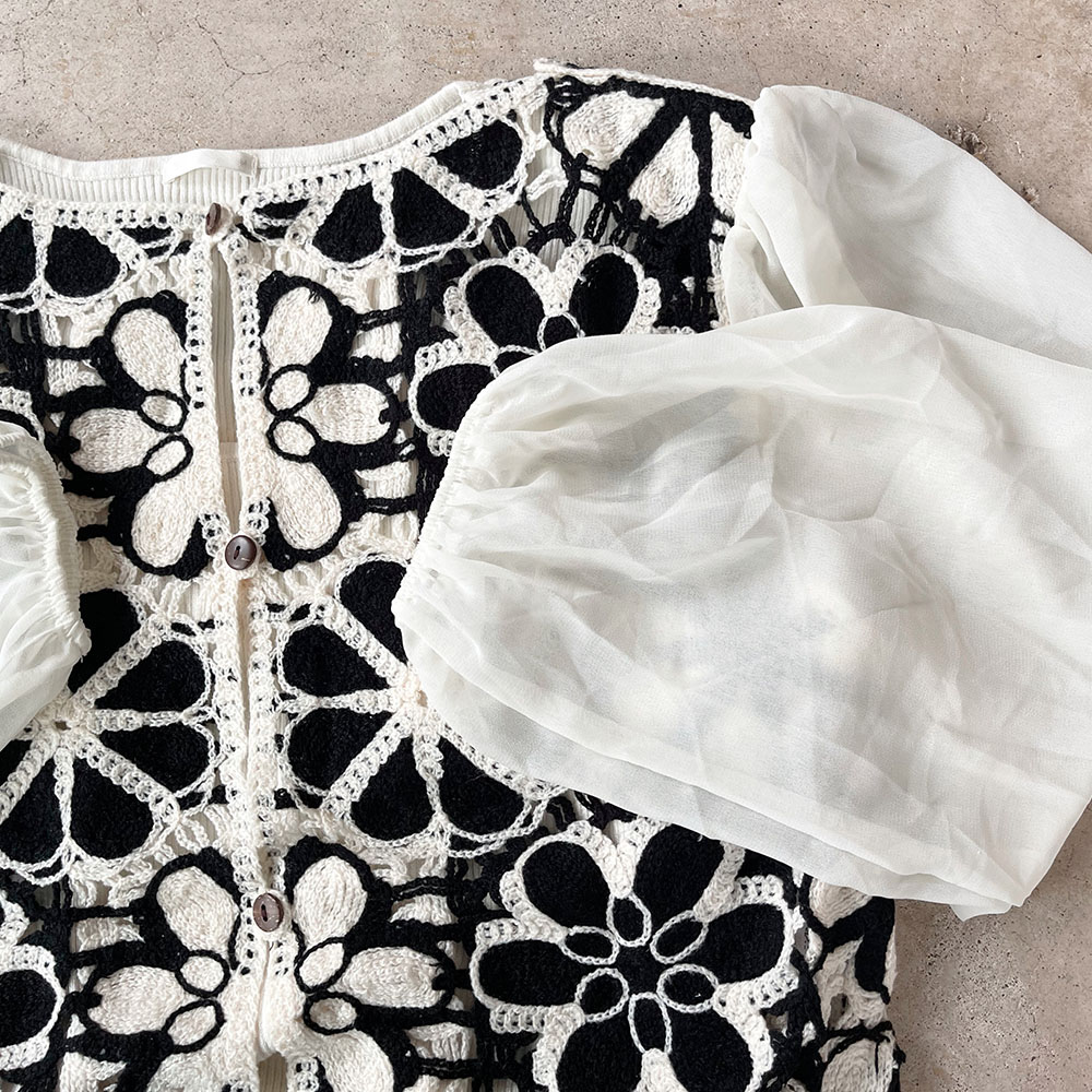 『　インスタサブ垢で大バズり！　』  シアー袖ダリアレースプルオーバー