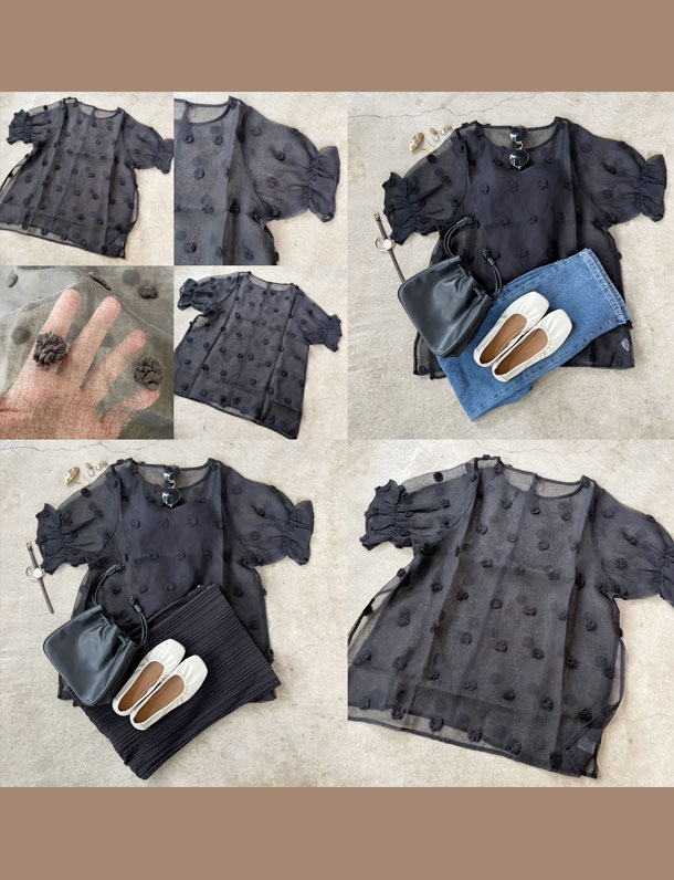 置き画していても可愛いと思ったポンポンシアー登場