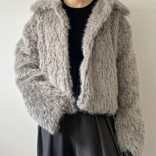 クリスマスセール【12月上旬入荷予定】 　『　インスタで大人気！　』 フェイクファー襟付きショートブルゾン