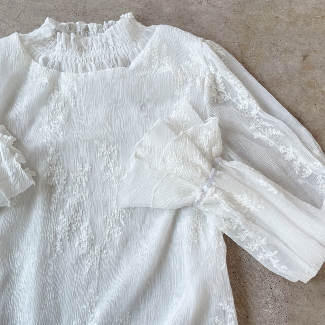 【3月上旬入荷予定】春の早割り 【メール便対応】　フラワー刺繍シアーフリルブラウス