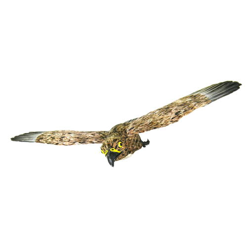 鳥追い 小鷹　全翼長約６０ｃｍ　(防鳥・害鳥対策用)