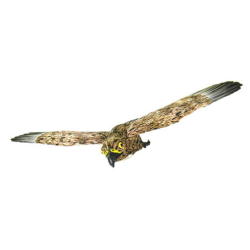 鳥追い 小鷹　全翼長約６０ｃｍ　(防鳥・害鳥対策用)