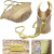 ジミーチュウ　ビーチバスケット　かごバッグ　S　イエロー　Jimmy Choo