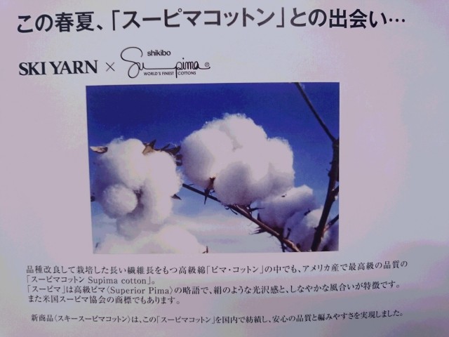 スキー　スーピマコットン