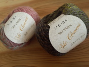 スキークレメント