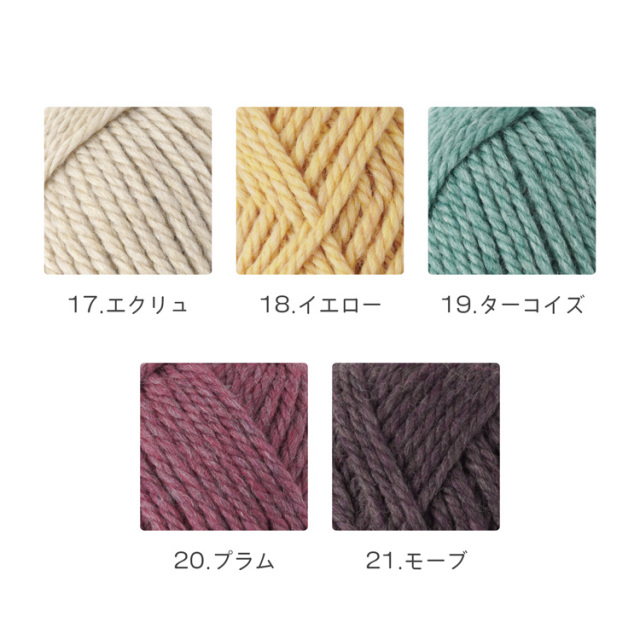 原ウール ニットワーム 毛糸 メランジ 極太 カラーバリエーション2