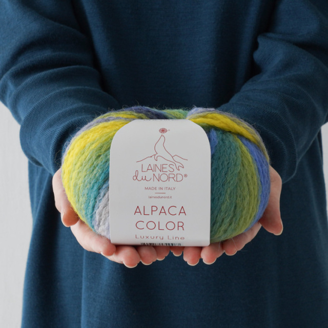 LAINES du NORD ALPACA COLOR 超極太 50g(115m)