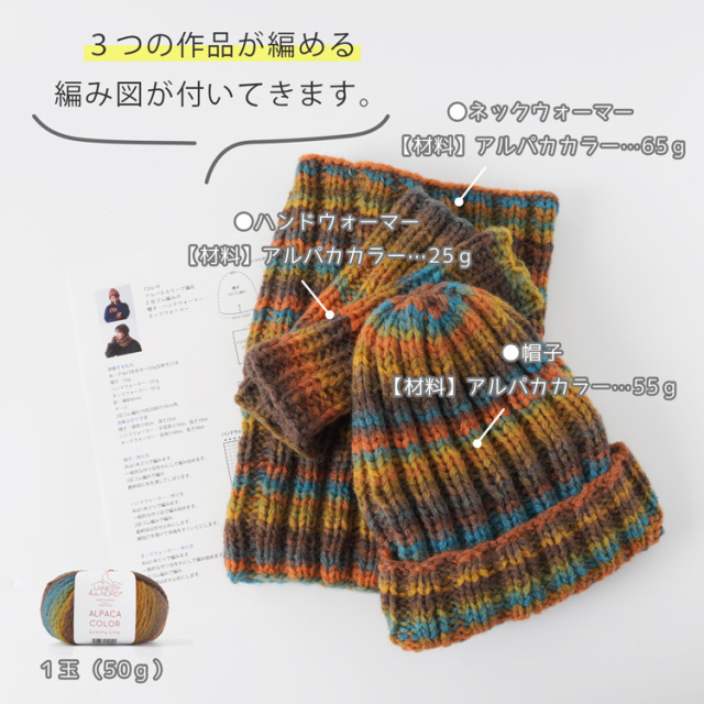 LAINES du NORD ALPACA COLOR 超極太 50g(115m)