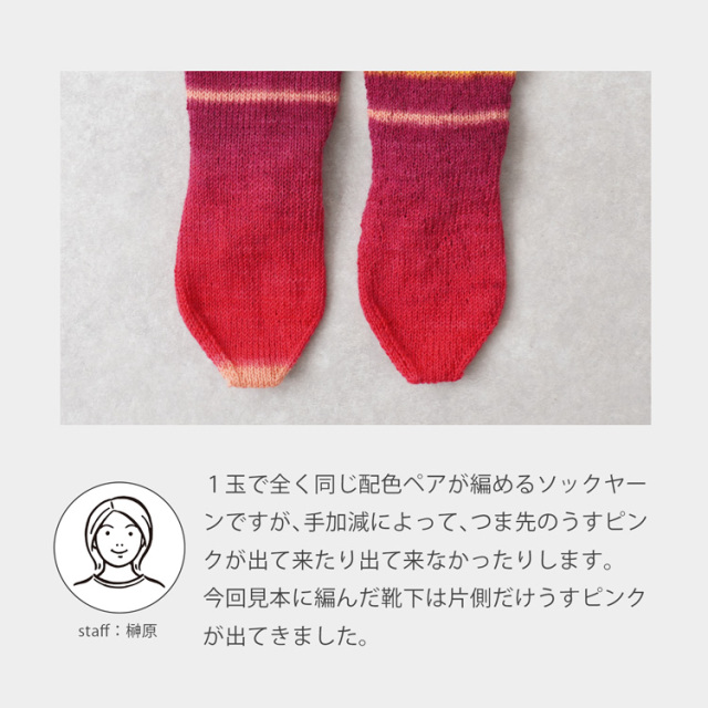 Laines du Nord  ECLECTIC SOCK Sock Line 中細 100g(420m)