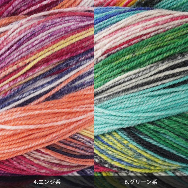Laines du Nord  ECLECTIC SOCK Sock Line 中細 100g(420m)