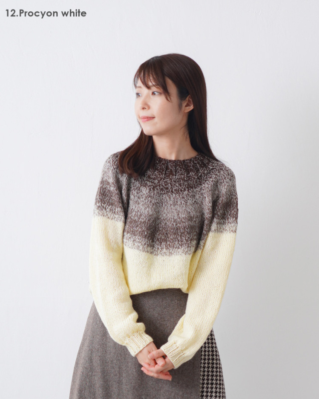 KnitwormChatea 編み物キット みんなのセーターマルチ