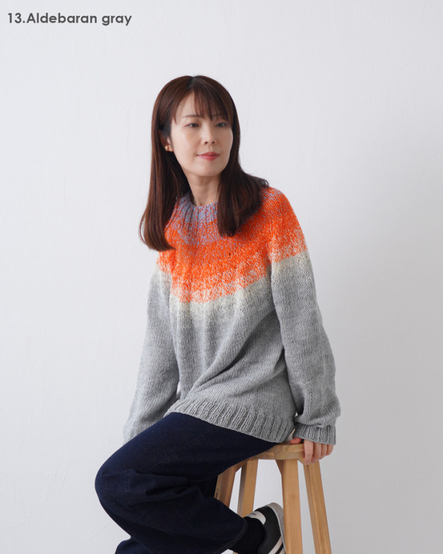 KnitwormChatea 編み物キット みんなのセーターマルチ