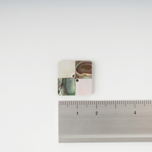 シェルボタン(5P) SSBT1496L