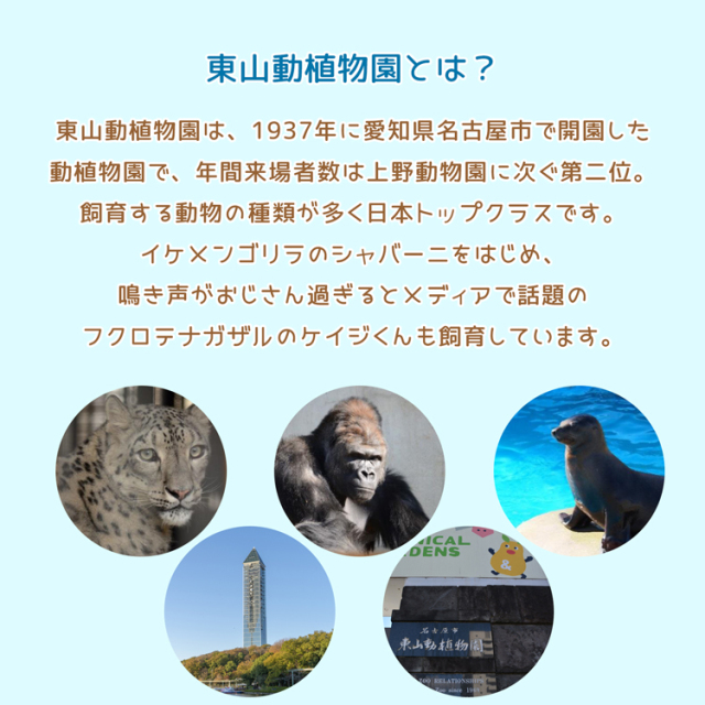 ワッペン3点以上まとめ買いで10%OFF】 東山動植物園動物ワッペン