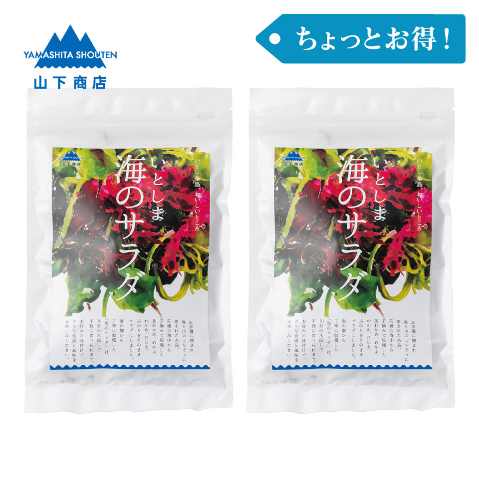 ［ちょっとお得！］いとしま 海のサラダ　2袋【山下商店】