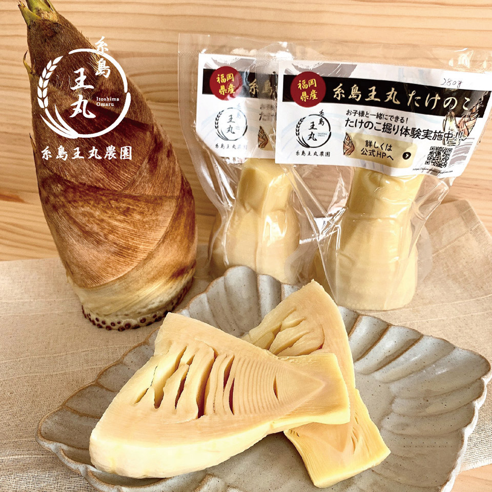 糸島王丸産タケノコ「500g」「1kg」【糸島王丸農園】