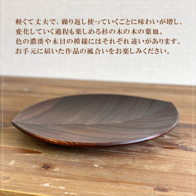 C20009-sub1.jpg?t=20211005143133
