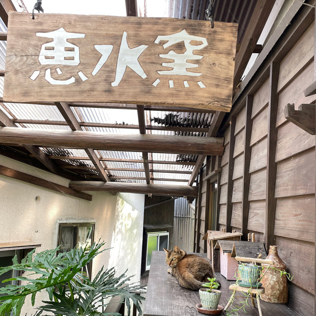 灰釉中鉢【恵水窯（鎌田 恒之）】※受注生産