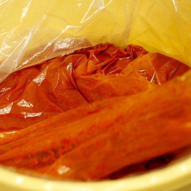 糸島 醗酵ハバネロ 50g【糸島内場農園】