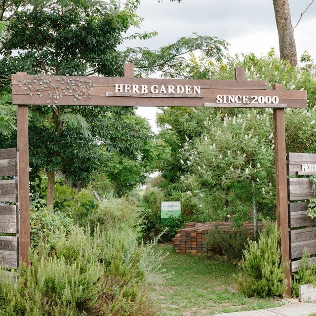 バジルペースト【ハーブガーデンプティール倶楽部伊都国】