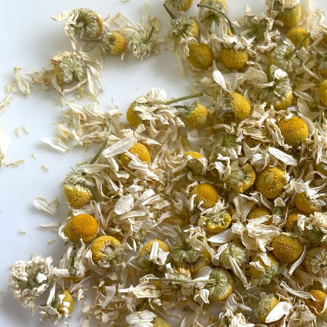 ハーブティ ジャーマンカモミール【ハーブガーデンプティール倶楽部