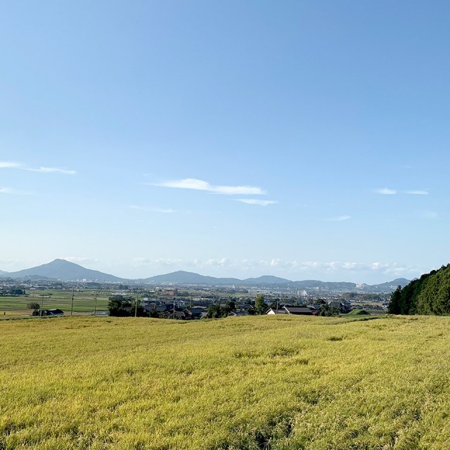 糸島産 夢つくし 5kg【糸島王丸農園】