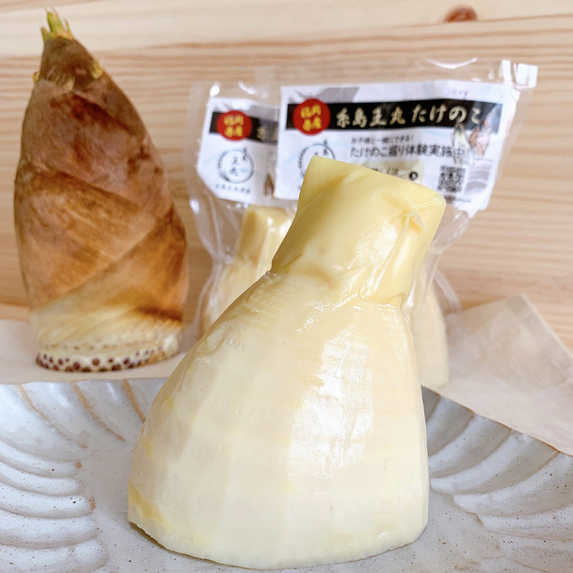 【3月～4月期間限定！】糸島王丸産タケノコ「1kg」【糸島王丸農園】