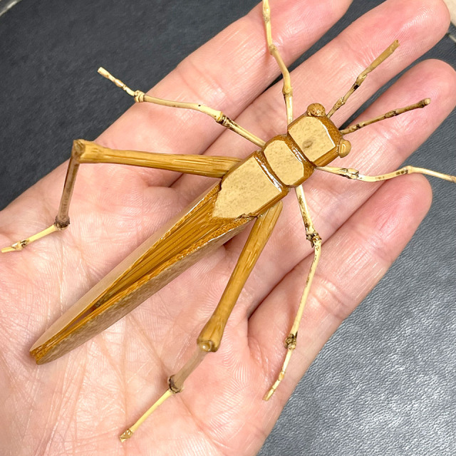 希少！当時物！激レア！やじろべえ！トンボ！バッタ！手作り