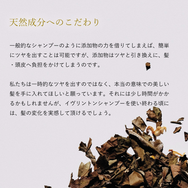 イヴァンカ イヴリントンシャンプー【全ての髪質に対応】