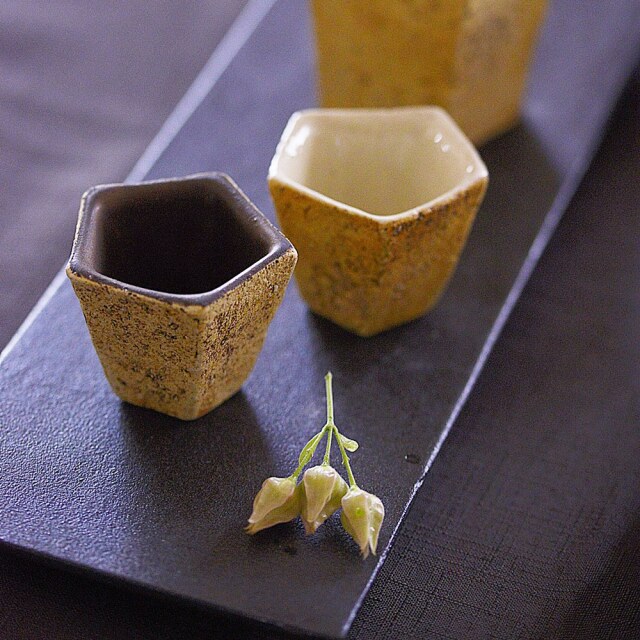 大野香織　GAIA 酒器