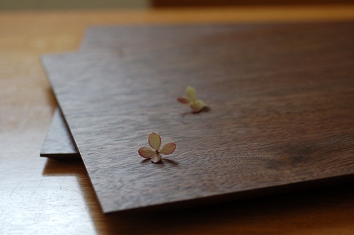 冨樫孝男さん　　プレート　6枚セット 9000〜 作家の器と暮らす。IVORY