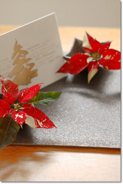 リバーシブル板皿