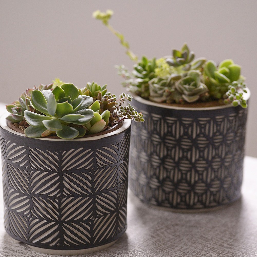 若生沙耶香 彫 植木鉢