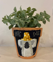 植木鉢 『コアラ』・手描き作品[武内祐人]