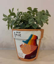 植木鉢 『ブタ』・手描き作品[武内祐人]