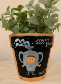植木鉢 ＊着ぐるみちゃん12星座・みずがめ座＊・手描き作品[武内祐人]