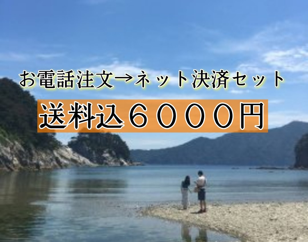 【お電話注文→ネットショップ決済】送料込み6000円