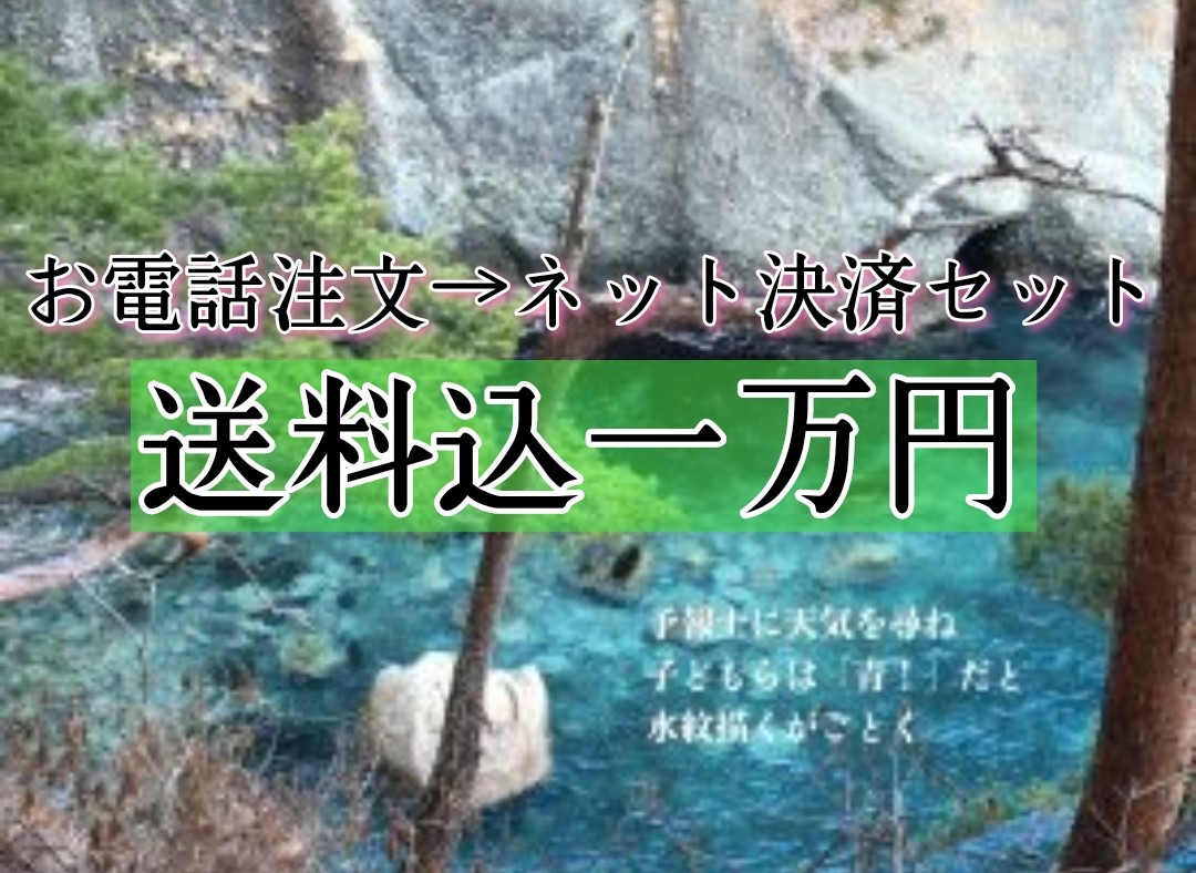 【お電話注文→ネットショップ決済セット】送料込み一万円