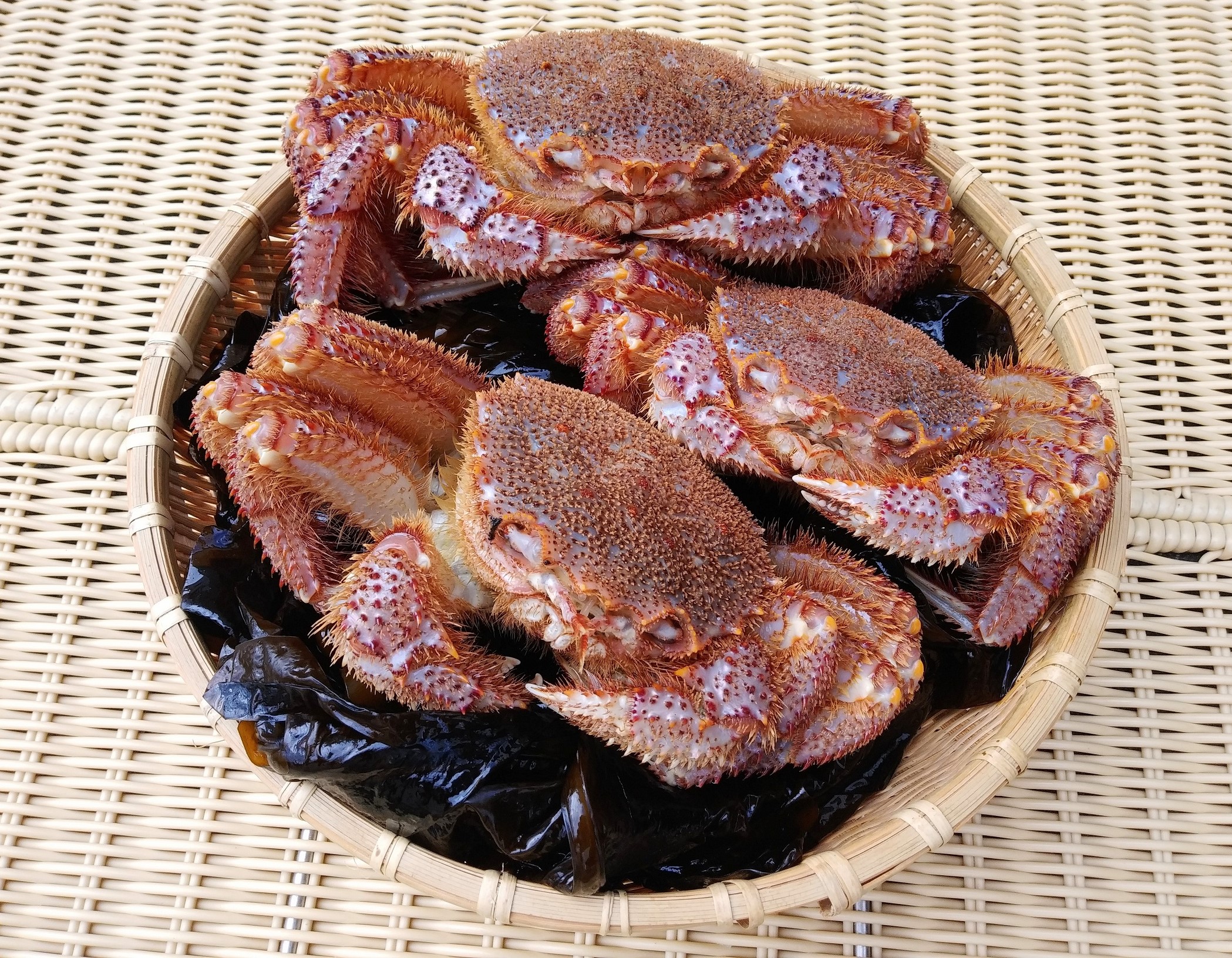 活毛ガニ 3匹で1万円 三陸・宮古の美味しい魚介を食卓に 岩船商店