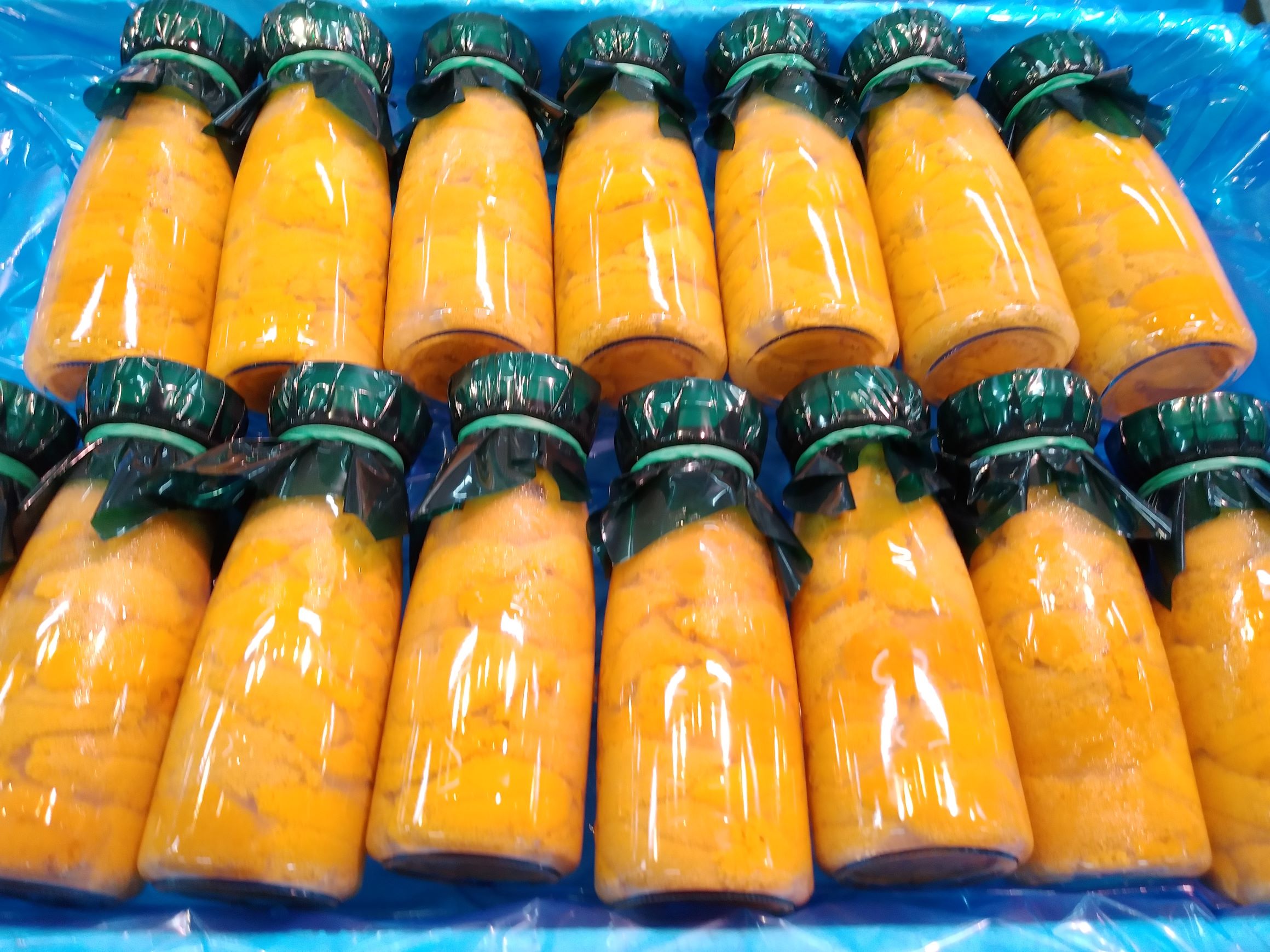 【今期最後の感謝価格】生うに２本セット