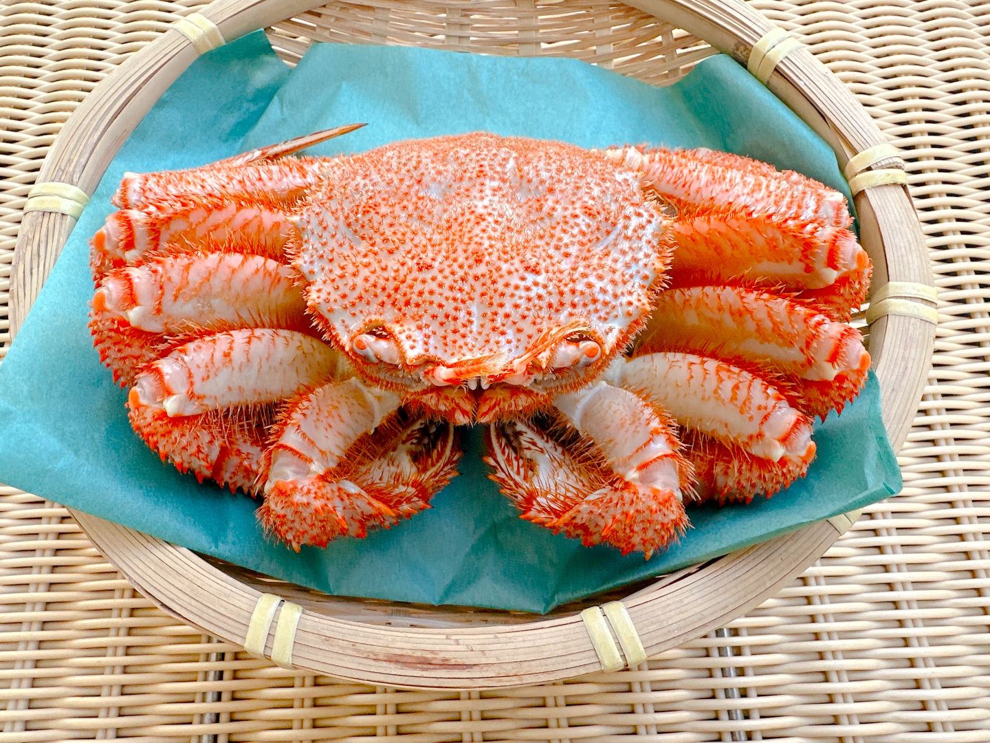 大きなボイル毛ガニ　１匹