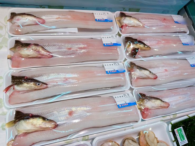 活穴子の開き・3本【宮古産】