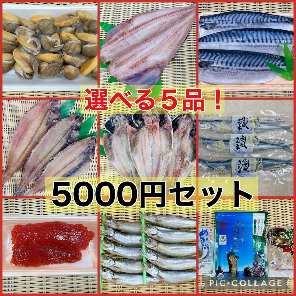 選べる５品！海産物詰合せ5000円セット
