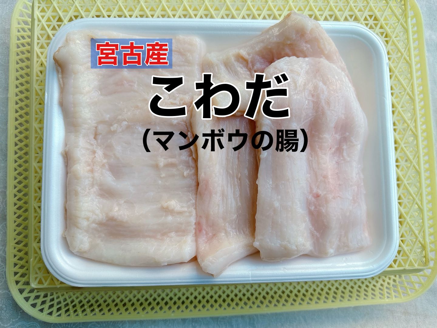 【宮古産】こわだ１キロ（マンボウの腸）